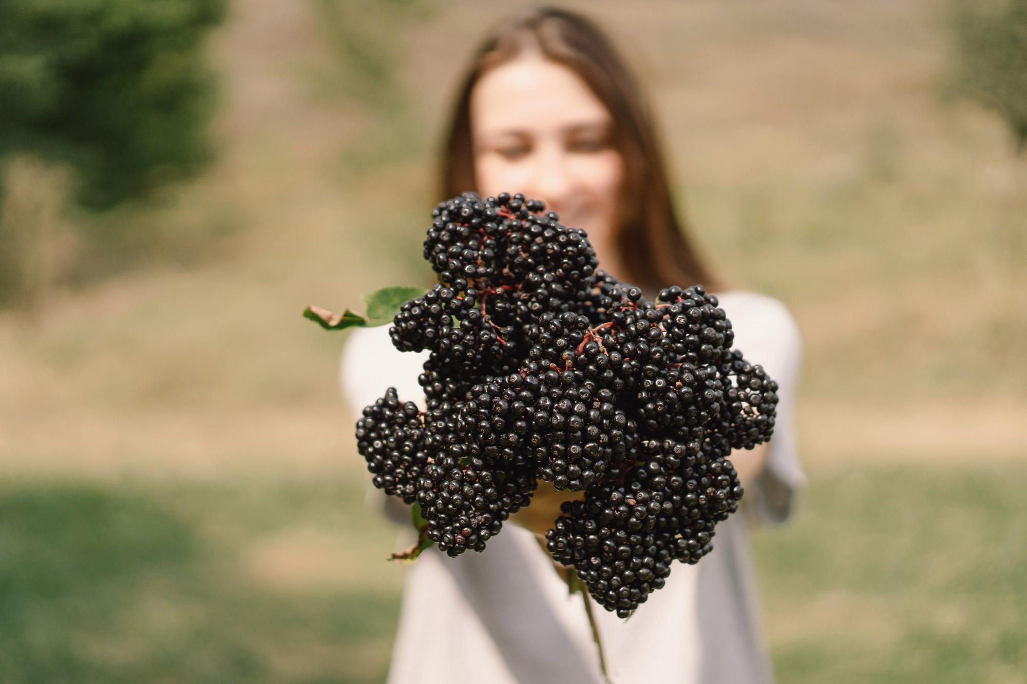 Understanding the Connection Between Elderberry and Abdominal Fat Reduction