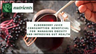 Designing a Six-Month Plan to Drop 10cm from Your Waist Using Elderberry