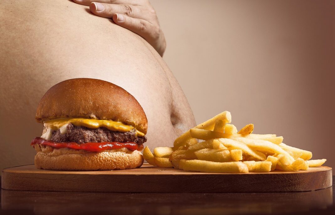 hamburger, p, french fries, belly, abdominal fat, fat, full, filled, obesity, excess, overweight, snack, fast food, unhealthy, healthy, health, diet, food, eating habits, appetite, fat, fat, fat, fat, obesity, obesity, obesity, obesity, obesity, fast food
