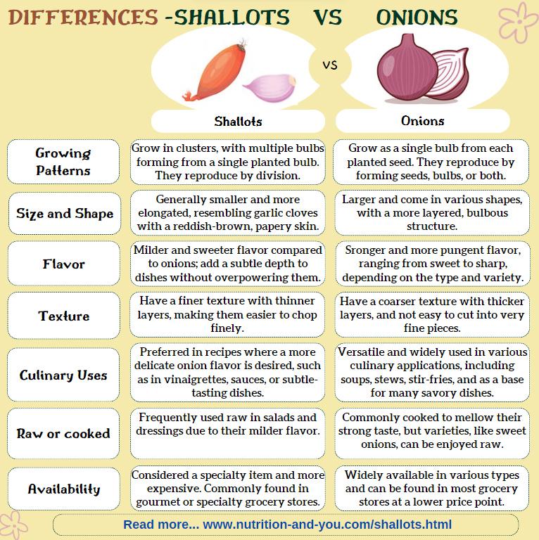 Nutritional Benefits of Red Onions for Core Strengthening