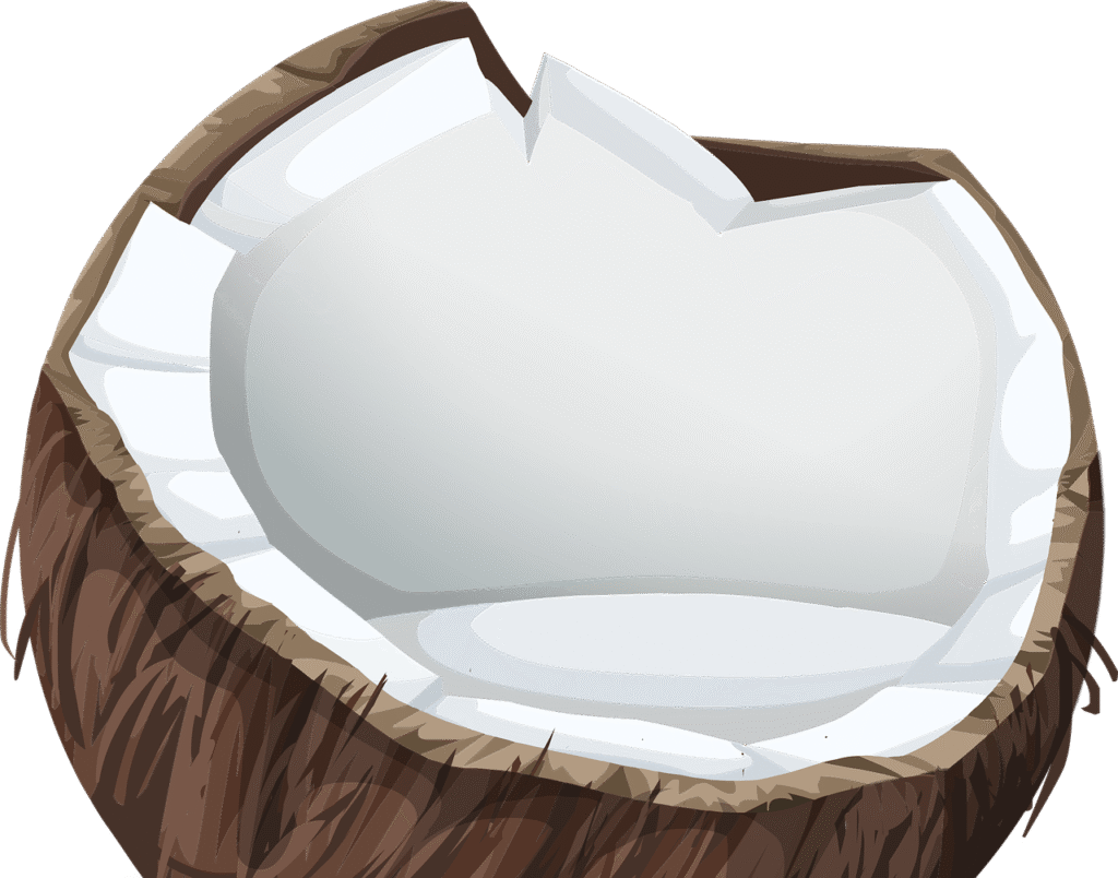How To Melt Stubborn Belly Fat in 42 Days Using Coconut Meat