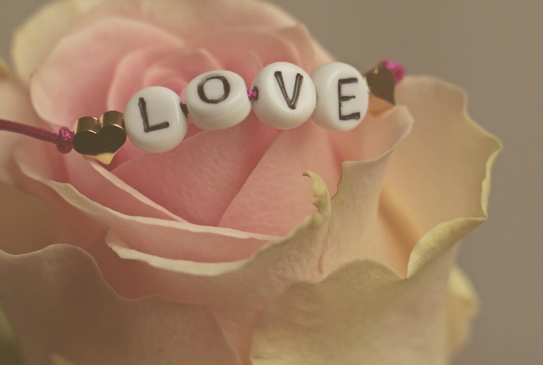 flower, rose, love, flower wallpaper, happy valentines day, feelings, rose flower, romantic, happiness, flower background, valentine's day, nature, in love, affection, beautiful flowers, connectedness